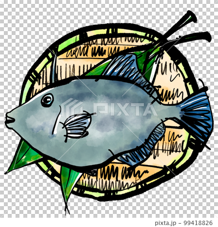 Hand-drawn illustration of Umazurahagi in a colander (brush writing style) 99418826