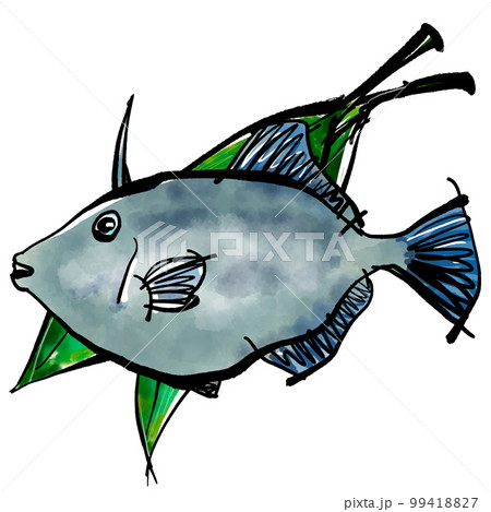 ハランに乗ったウマヅラハギの手書きイラスト(筆書き墨絵風) ハランに乗ったウマヅラハギの手書きイラスト(筆書き墨絵風) 99418827