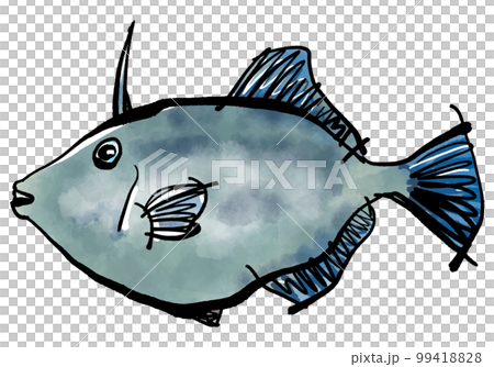 Hand-drawn illustration of Umazurahagi (brush writing watercolor sumi-e style) 99418828