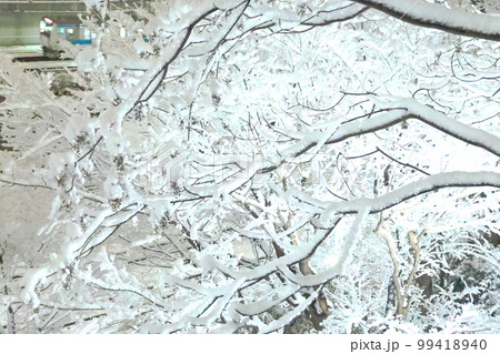 東京の雪景色　真っ白な雪の花と京浜東北線　飛鳥山 99418940