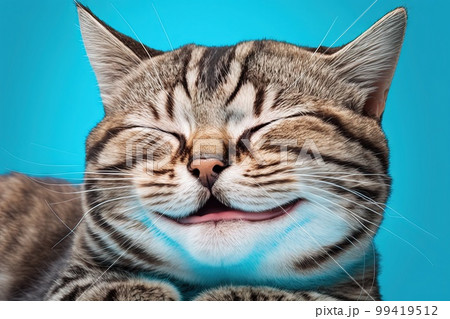 Smiling cat with happy expressionand closed - Stock