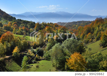 Mountain autumn landscape with colorful forest 99420662