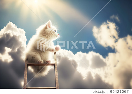 Curious kitten climbing the ladder to the sky with clouds. Cute tiny cat on the stairway. Generated AI. Curious kitten climbing the ladder to the sky with clouds. Cute tiny cat on the stairway. Generated AI. 99421067
