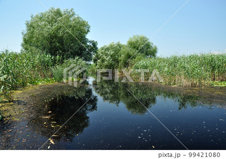 Danube delta Danube delta 99421080
