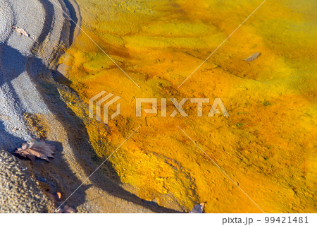 Abstract dead nature pattern, toxic water 99421481