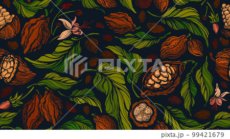 Cocoa vector seamless pattern Dark chocolate, food 99421679