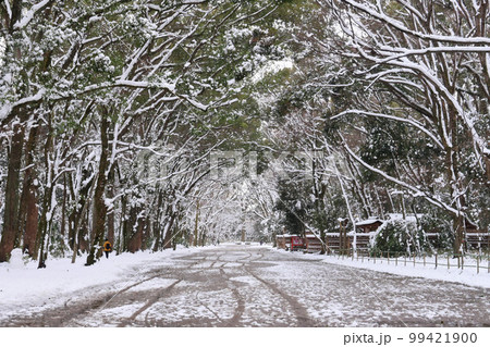 降雪の京都市下鴨神社糺の森 流鏑馬の馬場 降雪の京都市下鴨神社糺の森 流鏑馬の馬場 99421900