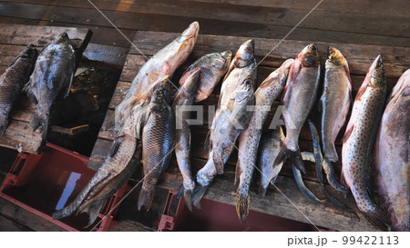 A variety of river fish from the Amur River on the fisherman's table. 99422113