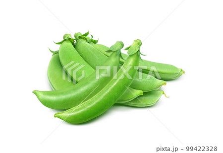 スナップエンドウ スナックエンドウ イラスト リアル 99422328