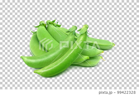スナップエンドウ スナックエンドウ イラスト リアル 99422328