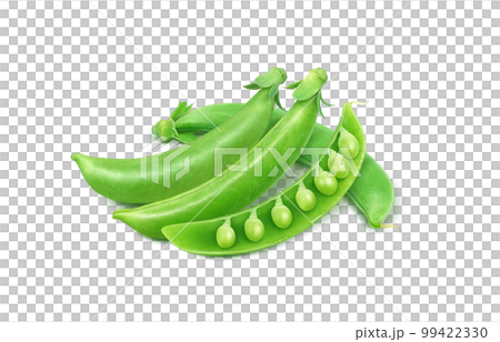 snap peas snack peas illustration real snap peas snack peas illustration real 99422330