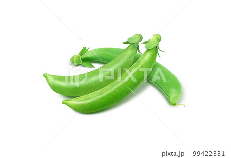 スナップエンドウ スナックエンドウ イラスト リアル 99422331