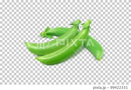 スナップエンドウ スナックエンドウ イラスト リアル 99422331