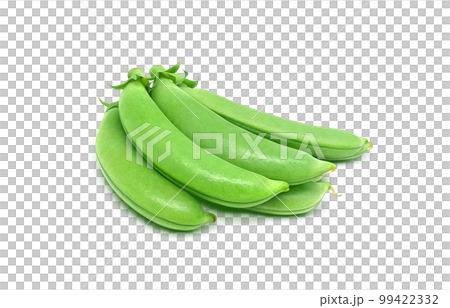 スナップエンドウ スナックエンドウ イラスト リアル 99422332