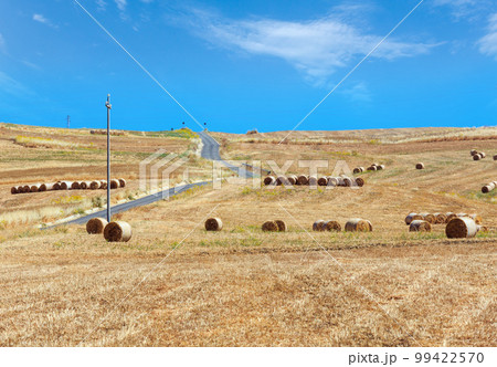 Sicily summer agriculture countryside, Italy Sicily summer agriculture countryside, Italy 99422570