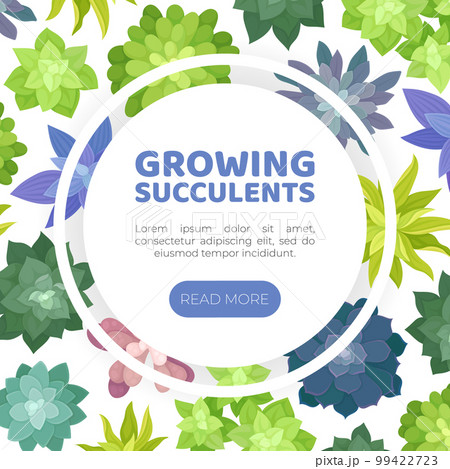 Succulents Growing Banner Design with Desert Plants with Fleshy Leaves Vector Template Succulents Growing Banner Design with Desert Plants with Fleshy Leaves Vector Template 99422723