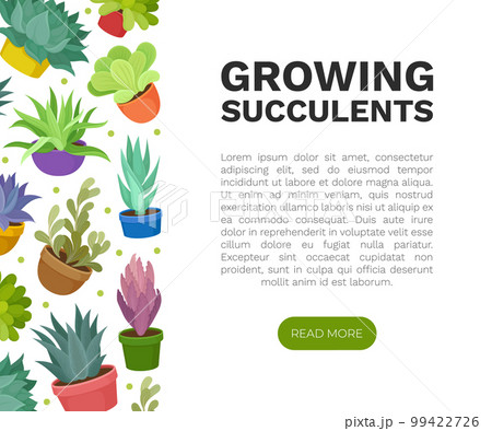 Succulents Growing Banner Design with Desert...のイラスト素材 [99422726] - PIXTA