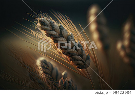 AI generated macro photography of wheat on field 99422904