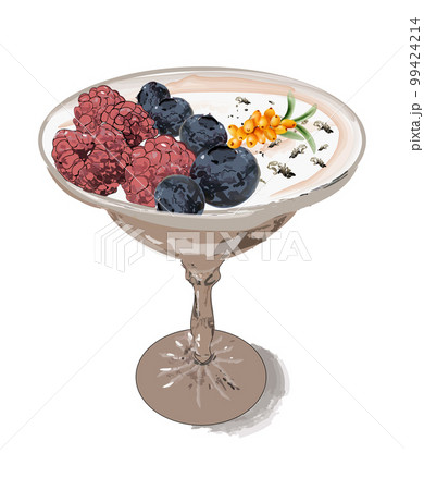 Panna cotta dessert in a glass with berry fruits vector. Vintage retro color Panna cotta dessert in a glass with berry fruits vector. Vintage retro color 99424214