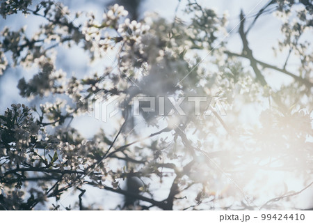 Abstract spring background Abstract spring background 99424410