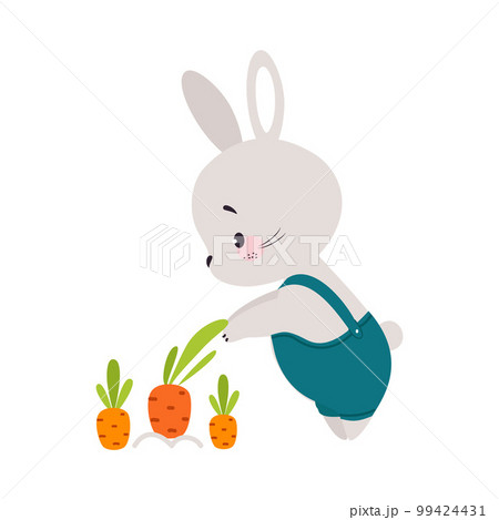 Cute Bunny Character Watching Carrot Crop Growing in the Garden Vector Illustration 99424431