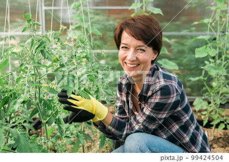 Happy gardener woman in gloves and care tomatoes in greenhouse. Gardening and floriculture. Garden care Happy gardener woman in gloves and care tomatoes in greenhouse. Gardening and floriculture. Garden care 99424504