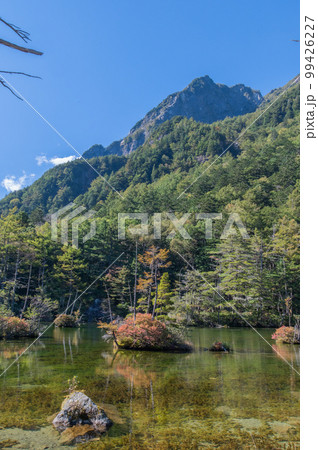 穂高神社の神域　上高地　明神池 99426227