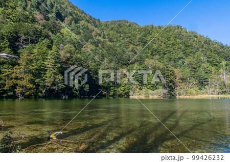 穂高神社の神域 上高地 明神池 穂高神社の神域 上高地 明神池 99426232