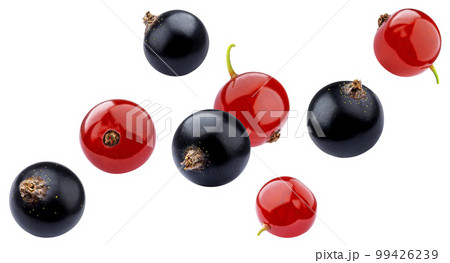 Falling black and red currant isolated on white background 99426239