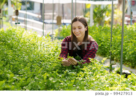 Portrait of farm owner smiling. Asian female business working at organic farm and quality control Portrait of farm owner smiling. Asian female business working at organic farm and quality control 99427913
