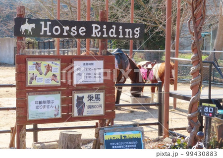 【山口県】秋吉台自然動物公園サファリランド 乗馬パーク 【山口県】秋吉台自然動物公園サファリランド 乗馬パーク 99430883