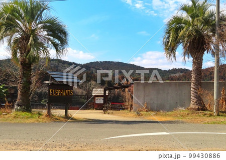 【山口県】秋吉台自然動物公園サファリランド 99430886
