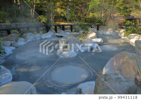 あちらこちらから球状の熱泥が湧き上がる別府鬼石坊主地獄の風景 あちらこちらから球状の熱泥が湧き上がる別府鬼石坊主地獄の風景 99431118