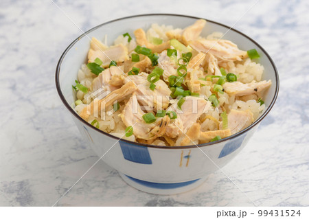 鶏飯 99431524