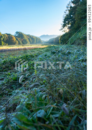 信州 長野県の刈り入れ後の田園風景 信州 長野県の刈り入れ後の田園風景 99432065