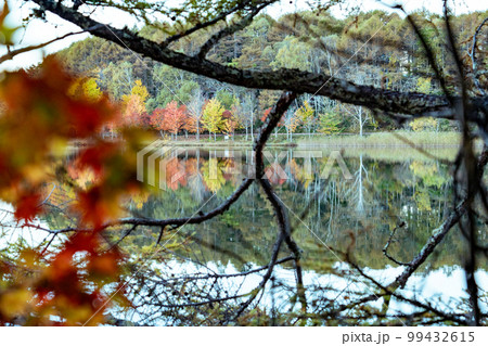 秋の白樺高原　女神湖　長野県 99432615