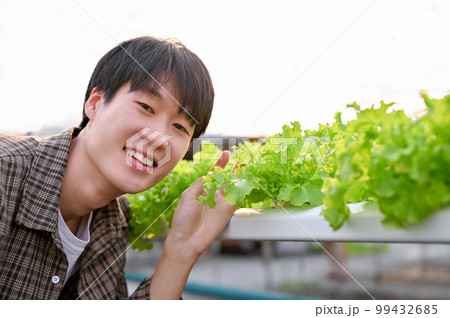 Happy and cute young Asian male organic salad farm owner is in the hydroponic greenhouse 99432685