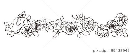 モノクロ線画の薔薇イラスト。モノクロのベクター薔薇イラスト。手描きのシンプル植物画。 99432945
