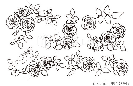 モノクロ線画の薔薇イラスト。モノクロのベクター薔薇イラスト。手描きのシンプル植物画。 99432947
