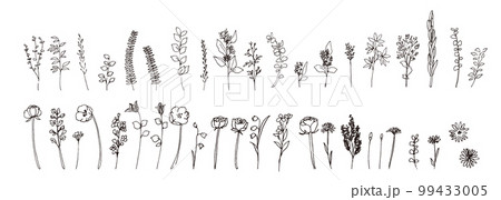 手描きの植物ベクターイラスト。モノクロの植物線画イラスト。春のナチュラル植物挿絵。 手描きの植物ベクターイラスト。モノクロの植物線画イラスト。春のナチュラル植物挿絵。 99433005