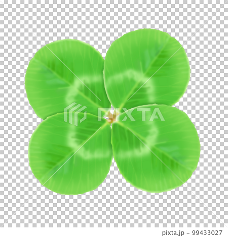 four Leaf Clover  99433027