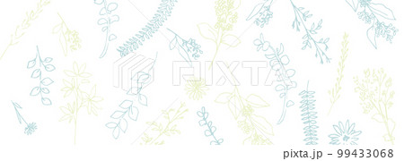 手描きの植物ベクターイラスト。パステルカラーの植物線画イラスト背景。春のナチュラル植物挿絵。 99433068