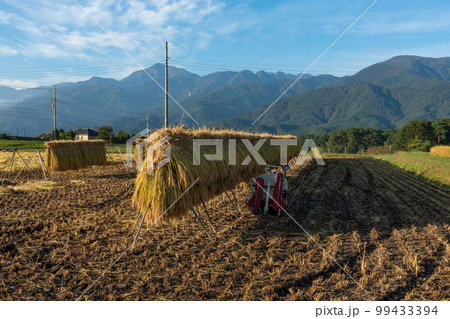 刈り入れ後の田園風景　長野県諏訪郡の秋 99433394