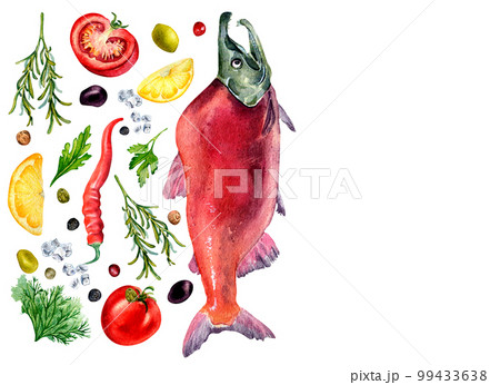 Board of sockeye salmon and spices watercolor illustration isolated on white. Board of sockeye salmon and spices watercolor illustration isolated on white. 99433638