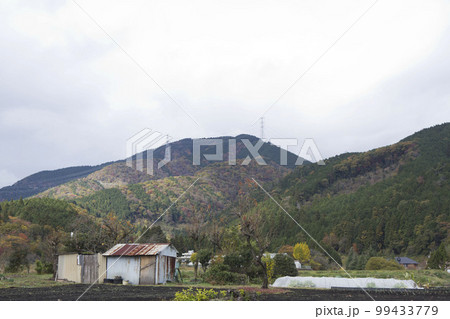11月中旬　関ケ原里山の景色 99433779