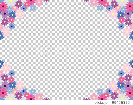 Cineraria F1 Cineraria F1 99436553