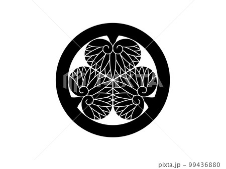 紀州三つ葵 99436880