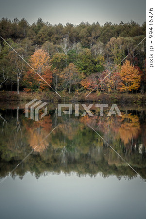 秋の白樺高原 女神湖 長野県 秋の白樺高原 女神湖 長野県 99436926