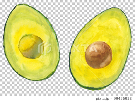 Avocado split in two watercolor material 99436938