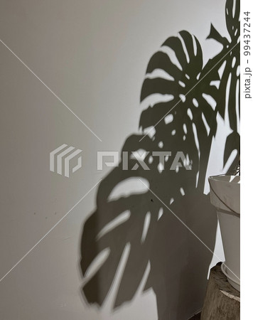 植物 工場 プランツ 99437244